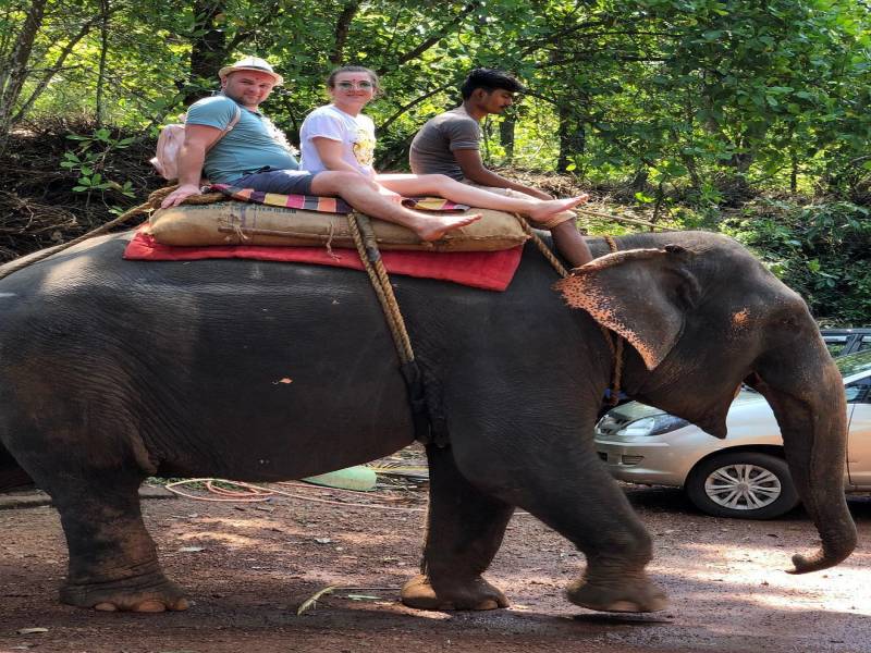 Dudhsagar Falls Tour Package with Jeep Safari + Spice Plantation + Lunch + Pikup Drop