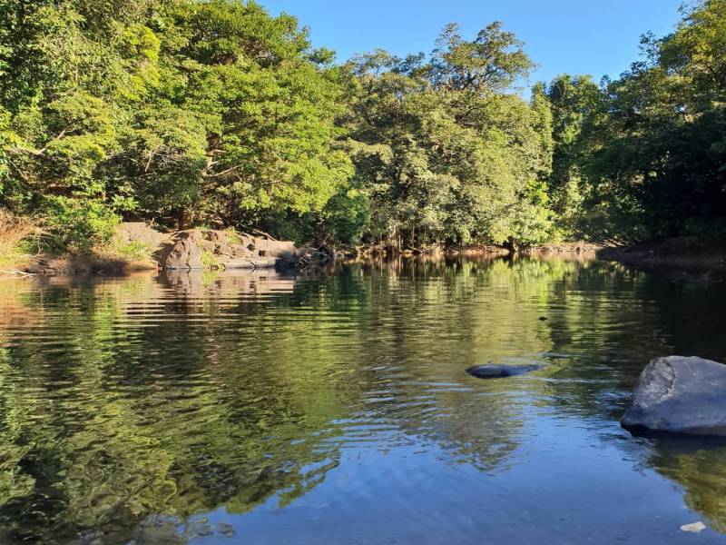 Dudhsagar Falls Tour Package with Jeep Safari + Spice Plantation + Lunch + Pikup Drop