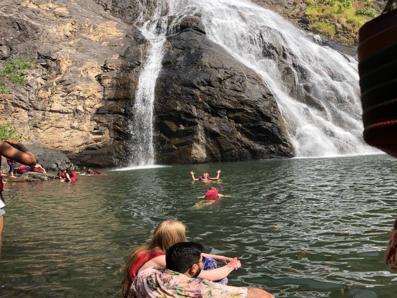 Dudhsagar Falls Tour Package with Jeep Safari + Spice Plantation + Lunch + Pikup Drop