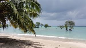 Andaman Tour  4 Days