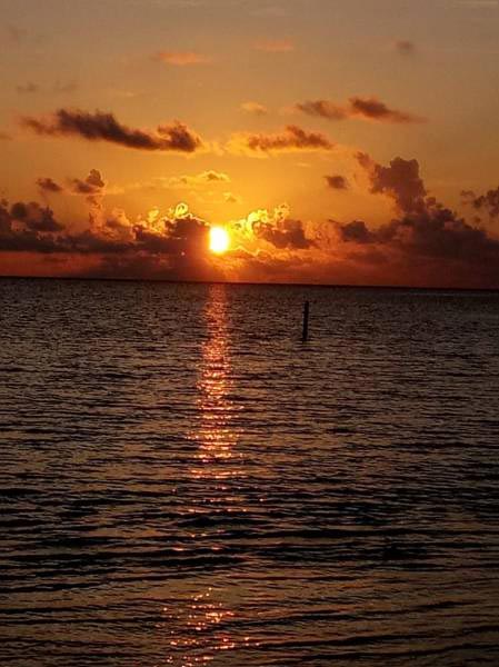 4 Night 5 Day College /school and Corporate Tour Mas