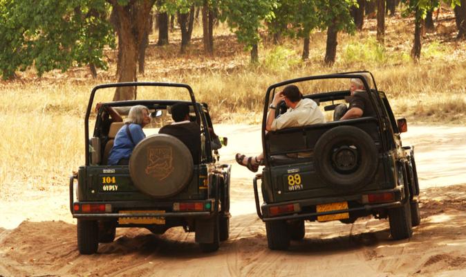 Ranthambore 2 Nights – Ex Jaipur Tour