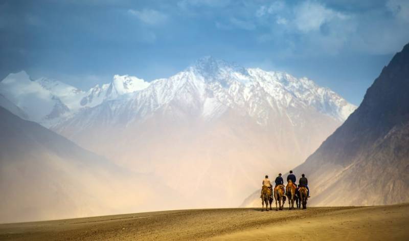 Leh – Alchi – Sangam - Khardong La – Pangong Tour