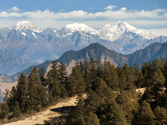 Shimla - Manali - Chandigarh - Delhi Tour