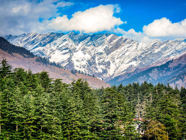 Shimla - Manali - Chandigarh - Delhi Tour