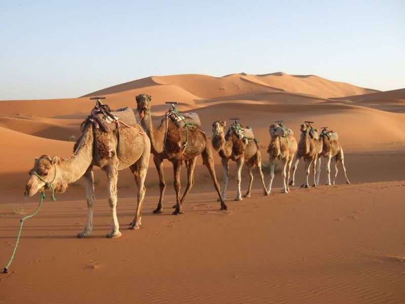 Rajasthan Tour With Sand Dunes Tour