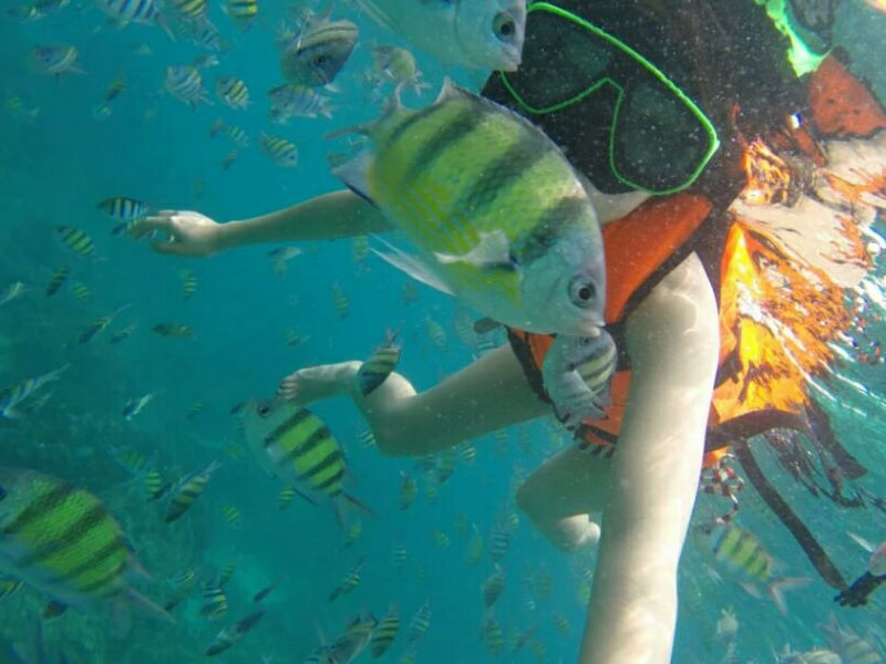 8 Nights 9 Days Essential Thailand Tour