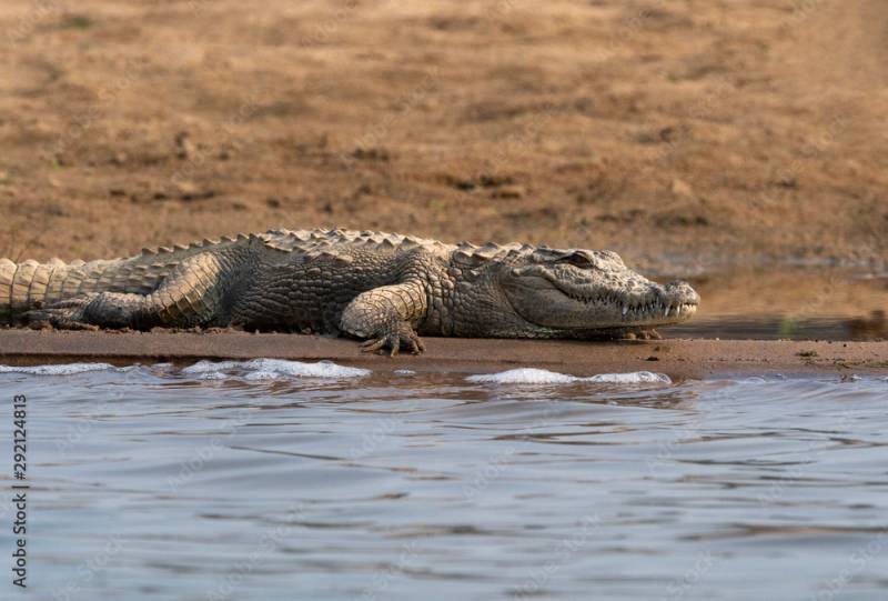 Taj Mahal Chambal Safari Tour