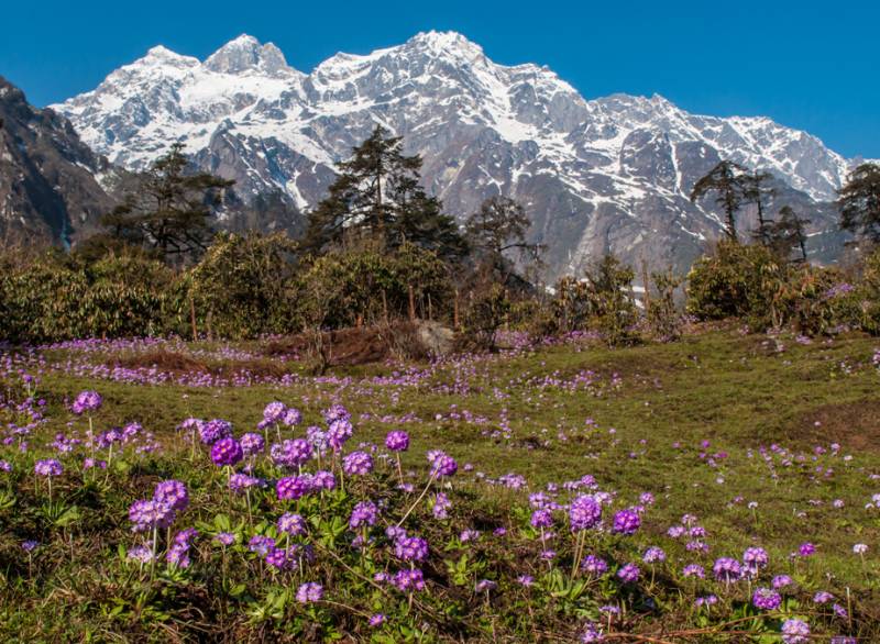 8 Night - 9 Days Sikkim Tour Package For - 12 Pax