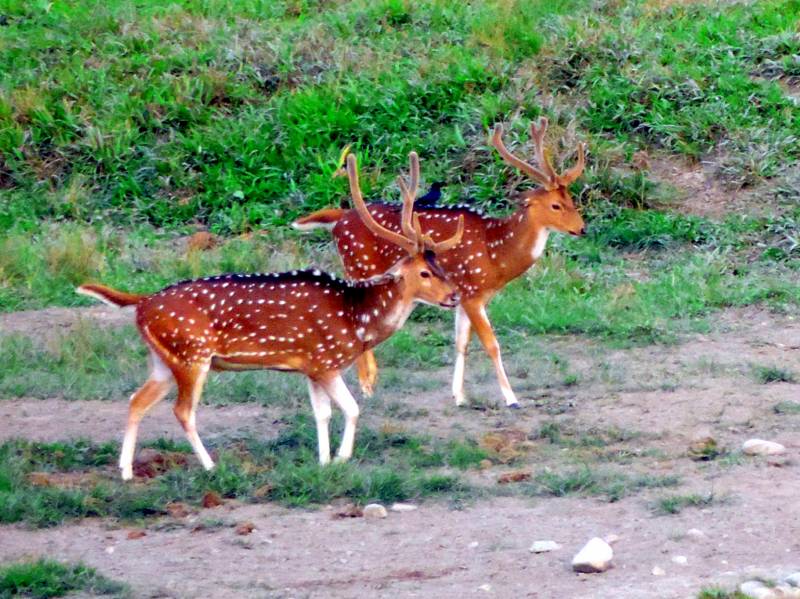 Dooars Adventure Trip Tour