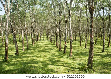 Dooars Adventure Trip Tour