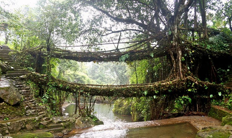 5 Days Shilllong With Cherapunji Tour