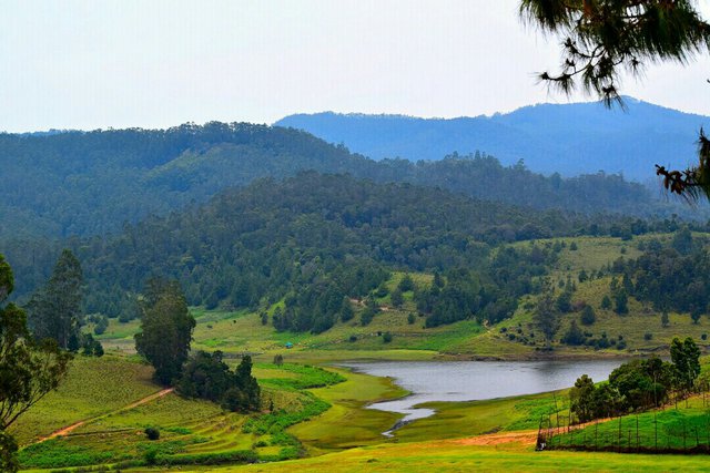 4N5D BANGALORE-MYSORE-OOTY-KODAIKANAL-BANGALORE SOUTH INDIA TOUR PROGRAM