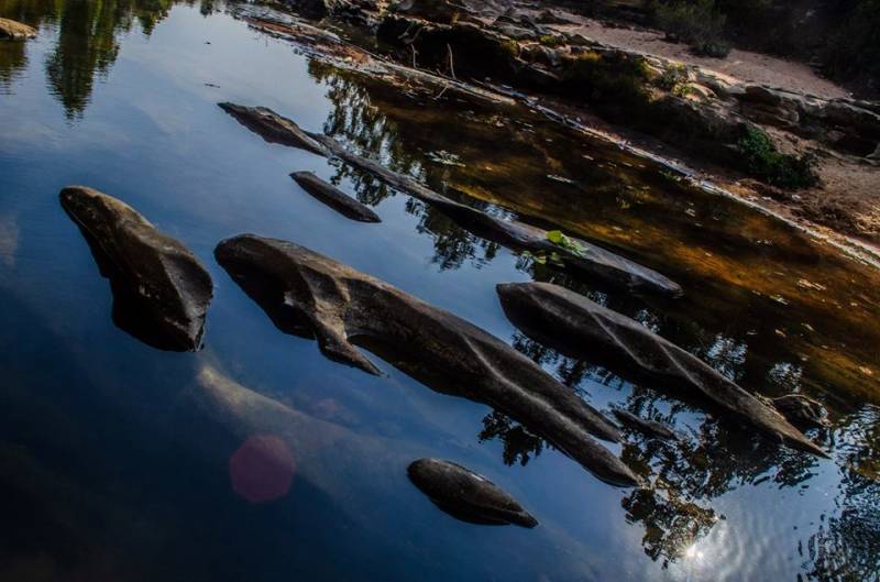 4 Night 5 Days Ranchi-netarhat-betla-mccluskieganj Tour Program