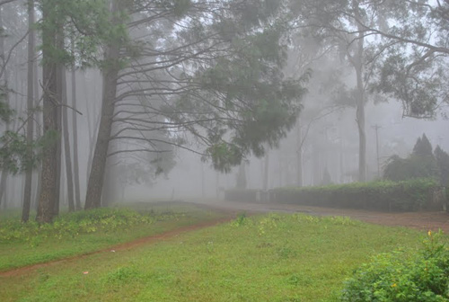 4 Night 5 Days Ranchi-netarhat-betla-mccluskieganj Tour Program