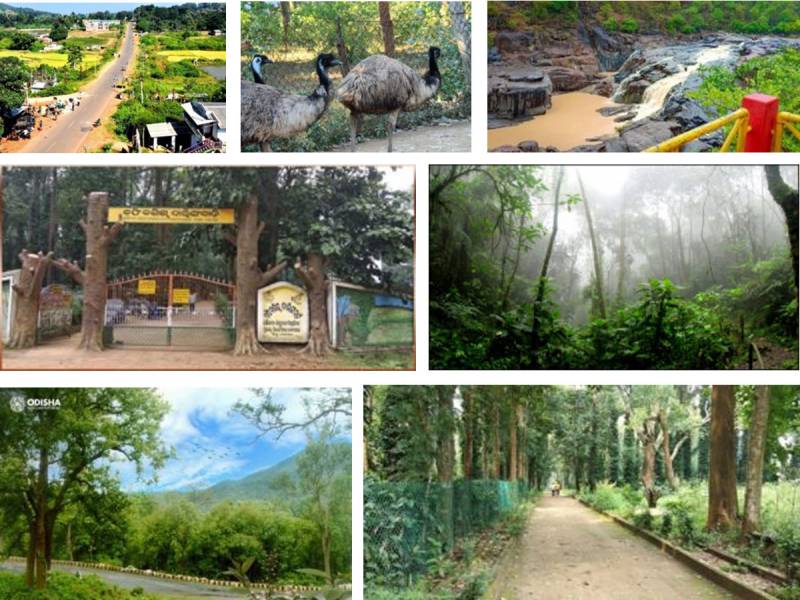 4 Night 5 Days Daringbari - Kashmir of Odisha with  Gopalpur Berhampur to Berhampur