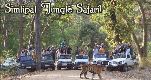 Explore Simlipal & Chandipur - 3 Nights 4 Days