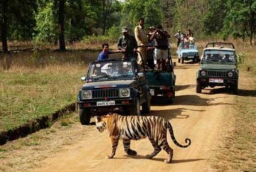 JAGDALPUR KORAPUT TOUR PACKAGE - 4 NIGHT 5 DAYS