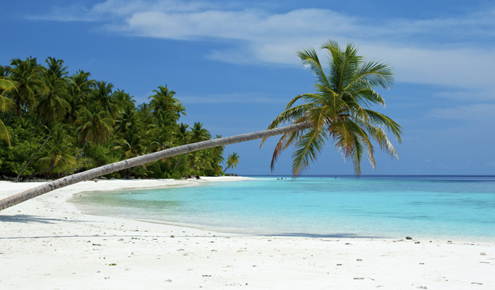 Exotic Andaman 7 Nights 8 Days