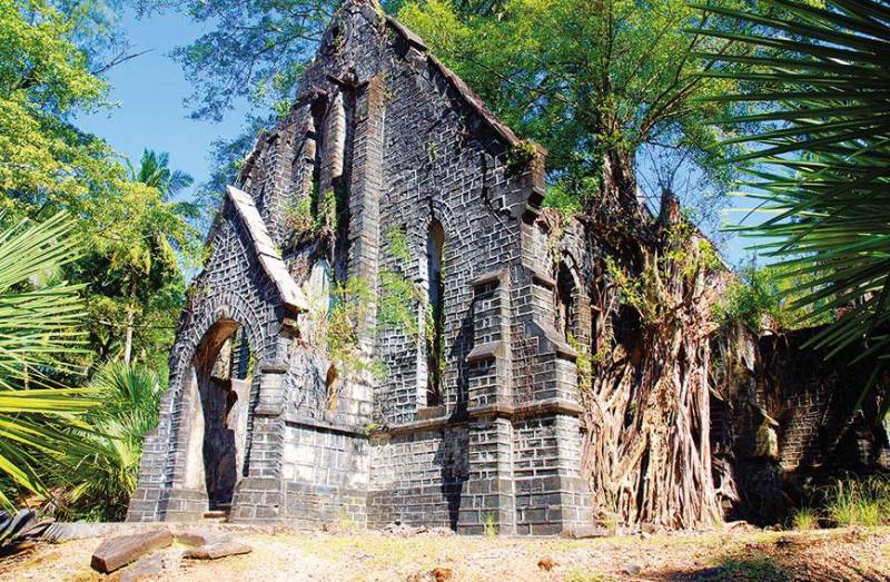 Exotic Andaman 7 Nights 8 Days