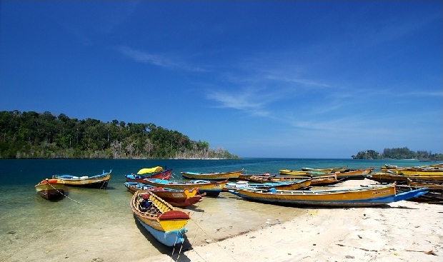 Exotic Andaman 7 Nights 8 Days