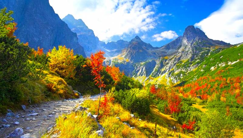 Paradise On Earth - Kashmir