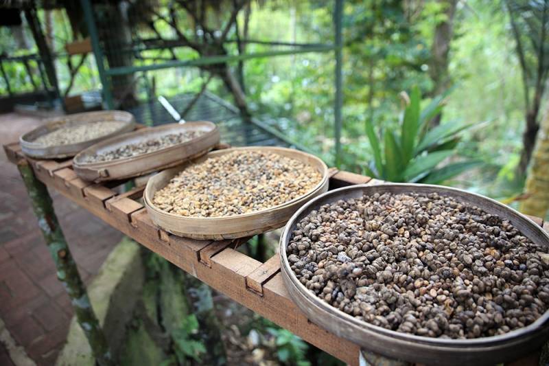 The Ultimate Bali Tour