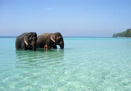Andaman 8 Days Package