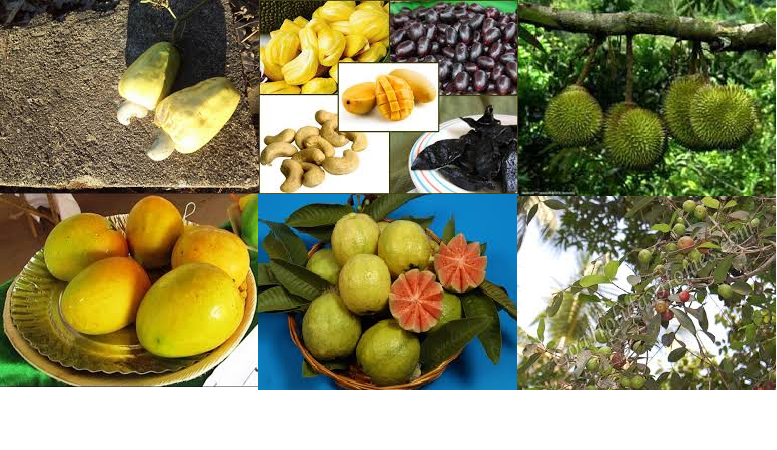 3 Night 4 Days Sindhudurga Special Tour