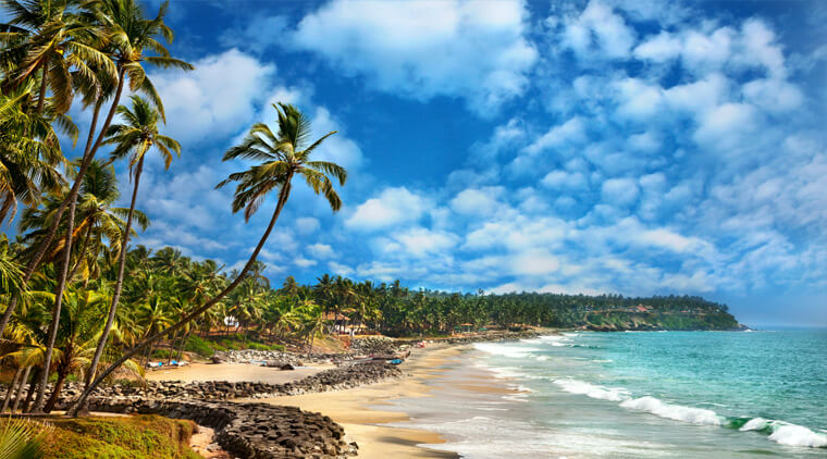 5 Nights Munnar - Alleppey - Kovalam Package Image