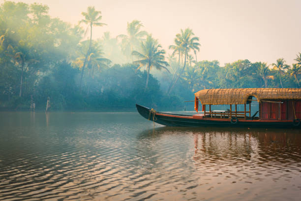 8 Days Cochin - Munnar - Thekkady - Alleppey - Kovalam Package