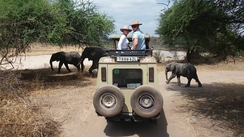 The Best of Africa Tour