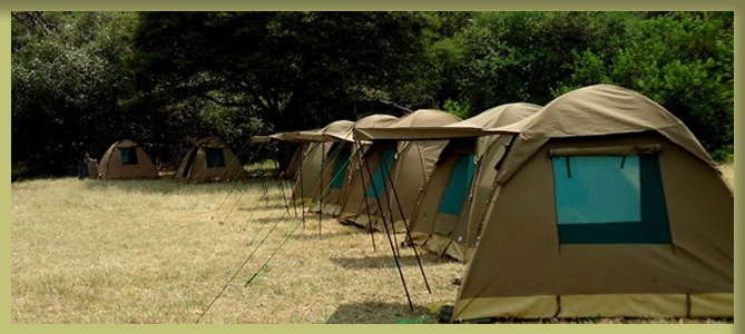 Adventure in Africa !