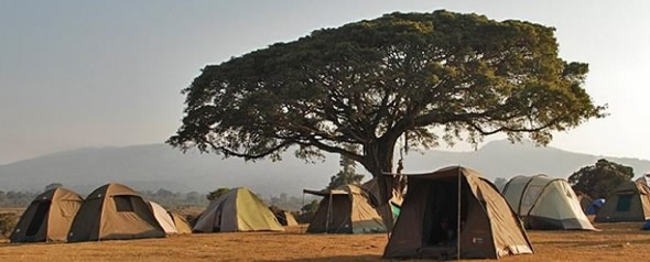 Adventure in Africa !