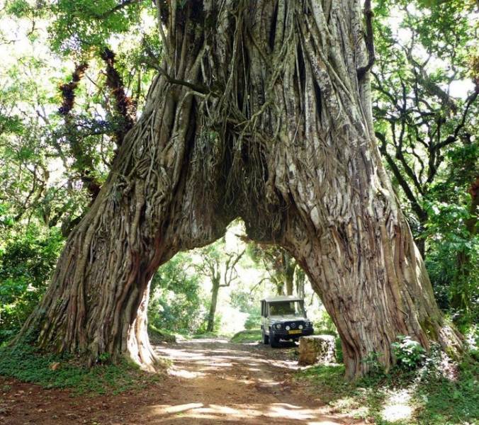 Mt. Meru Climbing Tour