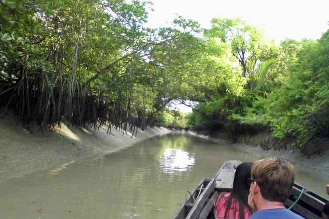 Sundarban World Heritage Tour