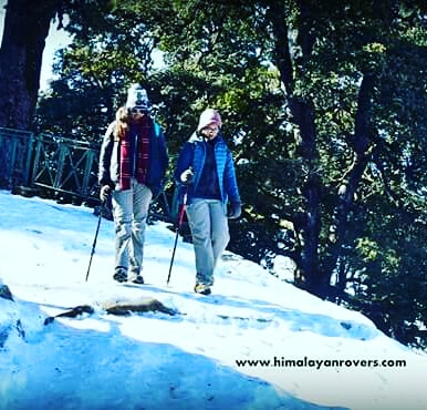 1 Night 2 Days Mussoorie (cloud End) Camping