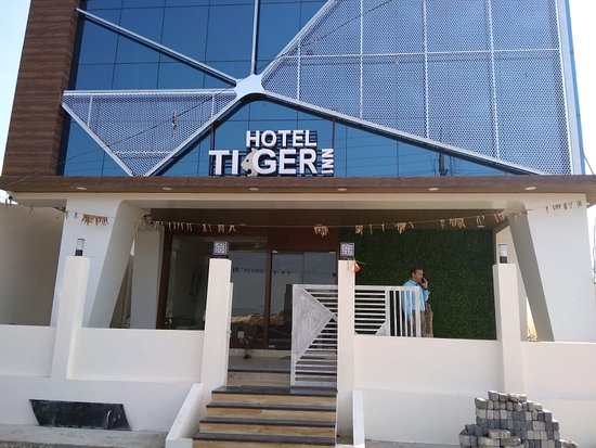 1 Night Stay Tadoba Tiger Darshan Chandrapur Tour