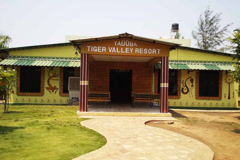 1 Night Stay Tadoba Tiger Darshan Chandrapur Tour
