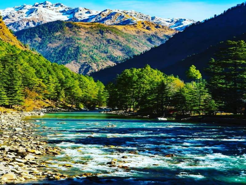 Majestic Himachal Shimla,Manali,Dharamshala,Dalhousie Tour