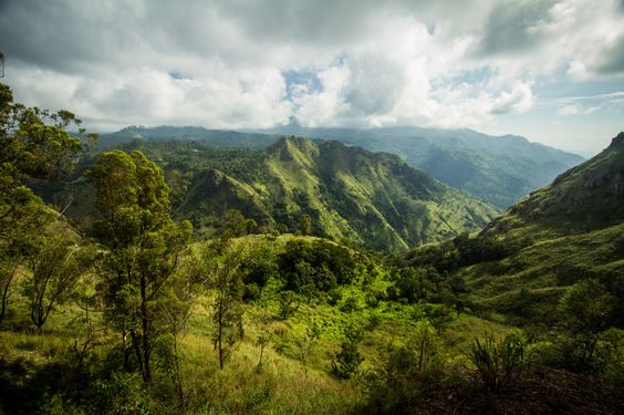 Magnificent of Sri Lanka