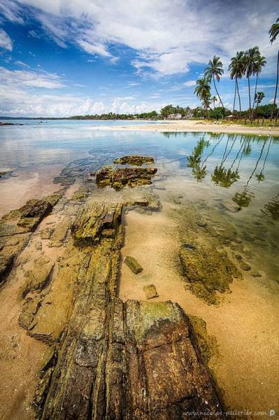 Magnificent of Sri Lanka