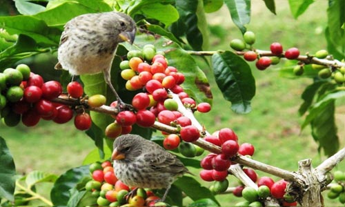 Real Laos Tour 13 Days