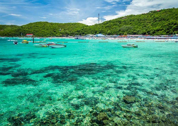 Exotic Thailand : the City of Angles Tour