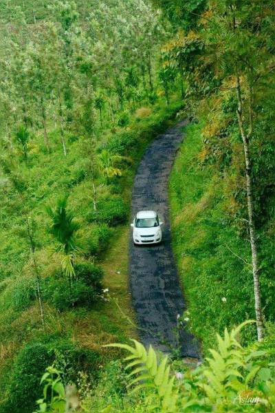 Mini  Kerala : Value Added Packages