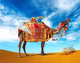 Rajasthan Tour