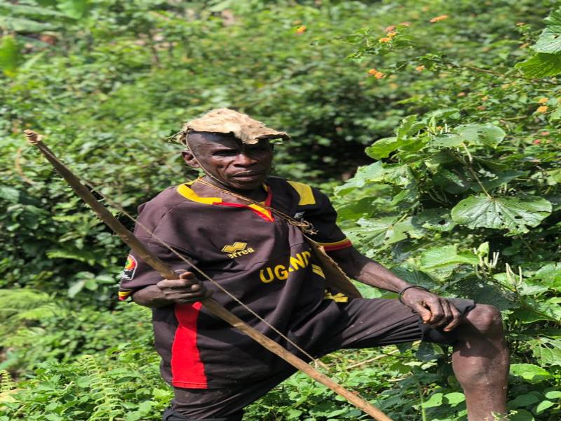 5 Days Gorilla Chimpanzee Trekking Safari