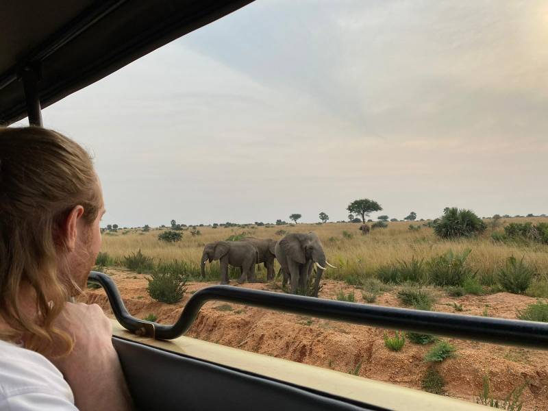 5 Days Gorilla Chimpanzee Trekking Safari