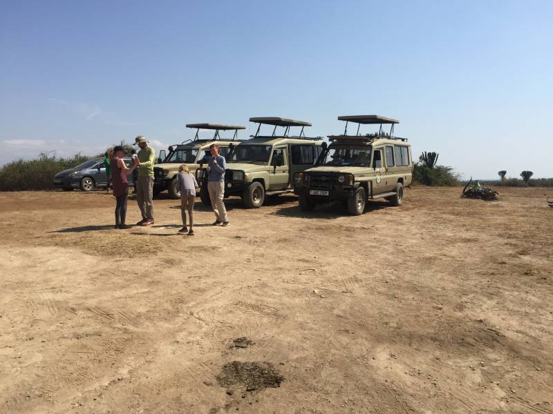 5 Days Gorilla Chimpanzee Trekking Safari