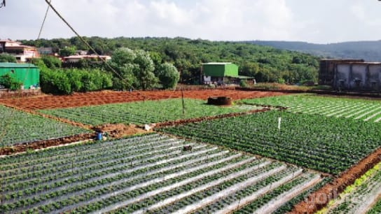 Mahabaleshwar 2nights/3days Tour